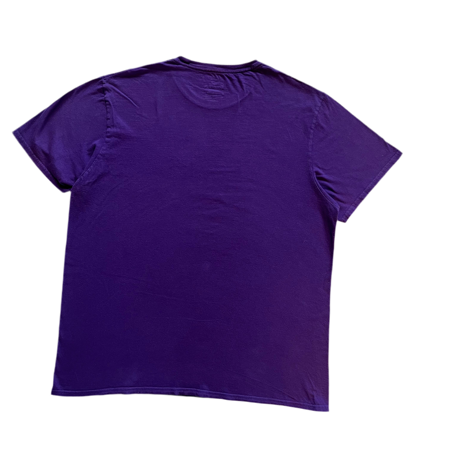 Minnesota vikings purple - unisex