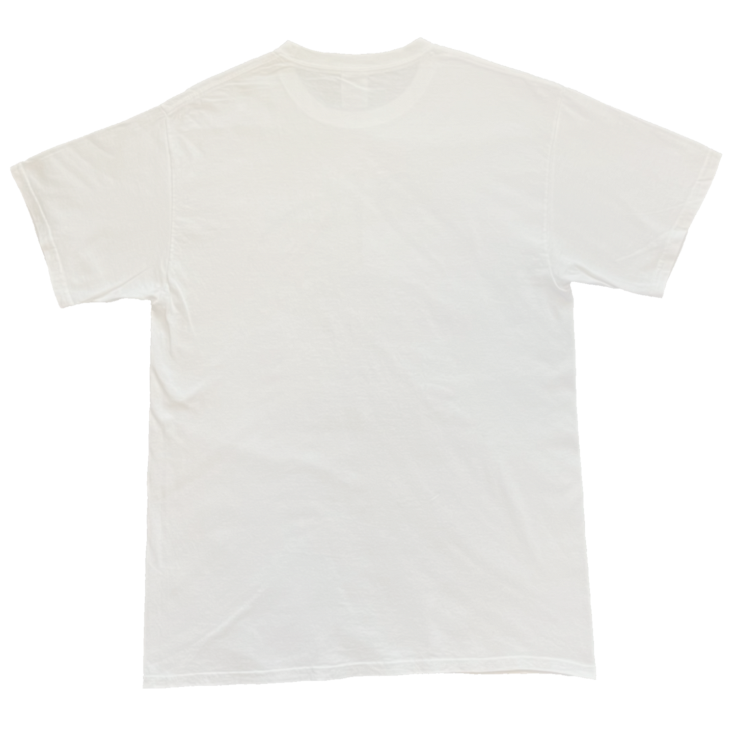 US PRO Basketball white tsh unisex